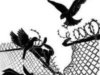 Recent list of TAYAD from political/revolutionary prisoners in&nbsp;Turkey